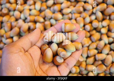 Mano che tiene nocciole con molte altre sullo sfondo in un mercato Foto Stock