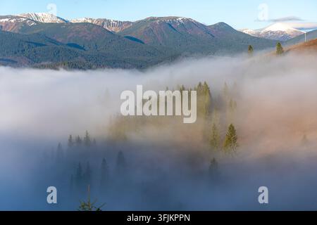 Nebbia che si sposta attraverso la foresta di montagna. La nebbia mattutina si sposta attraverso la foresta di sempreverdi sotto le vette innevate sotto un cielo blu limpido. Foto Stock
