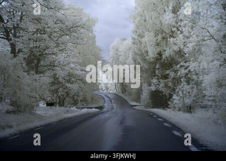 Una strada tortuosa appare attraverso alberi coperti di gelo. La scena mostra gli effetti di un filtro a infrarossi, con un fogliame luminoso che contrasta contro un cl Foto Stock
