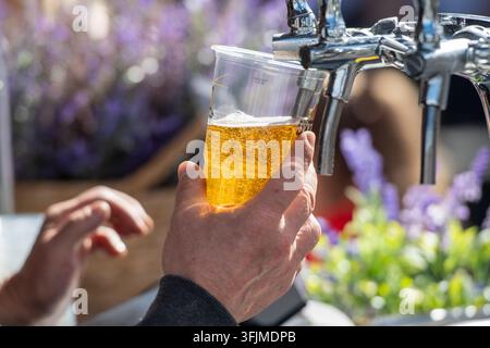 Primo piano di un barista che versa birra alla spina fresca in una tazza di plastica durante un festival all'aperto. Una lager fresca e schiumosa viene servita da una spina Foto Stock