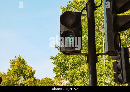 Londra, Inghilterra, Regno Unito, 14 agosto 2026. Vista ravvicinata di un semaforo pedonale verde che mostra un simbolo di uguaglianza di genere LGBTQ vicino a Tr Foto Stock