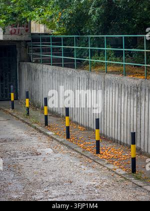 Prugne di ciliegia sono sparse lungo un marciapiede urbano bagnato accanto a new jersey neri e gialli, un muro di cemento di sostegno, ringhiere metalliche, scalini e vegetazione fitta Foto Stock