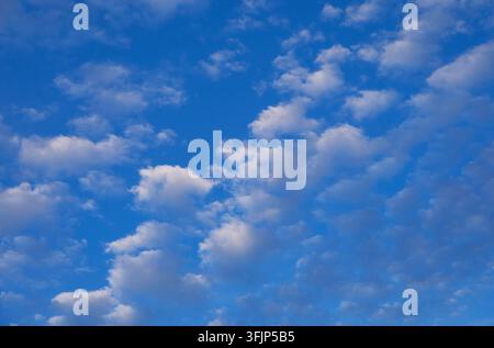nuvole cumulo bianche e soffici su uno sfondo di cielo blu Foto Stock