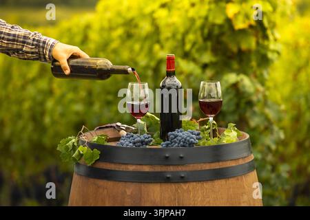 FRANCIA, GIRONDE (33), SAINT-EMILION, VERSARE VINO ROSSO NEL BICCHIERE, BARILE ALL'APERTO NEL VIGNETO DI BORDEAUX Foto Stock