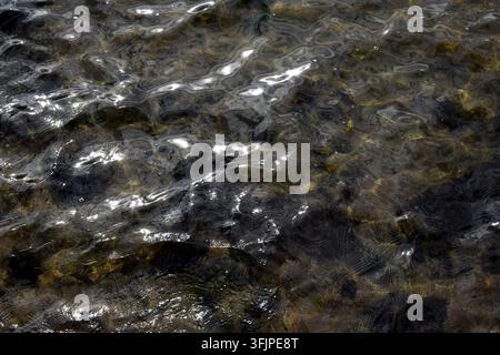 Luce del sole che si riflette sulla superficie dell'acqua calma Foto Stock