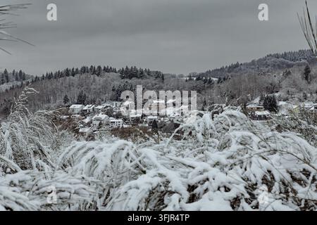 Questa fotografia di paesaggio invernale ampio e di alta qualità dimostra concetti stagionali di clima freddo, architettura forestale, viaggi e stile di vita rurale con Foto Stock