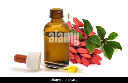 Ramo di Berberis vulgaris con bacche rosse mature accanto a una bottiglia contagocce contenente estratto di erbe, isolato su sfondo bianco. Botanica naturale Foto Stock