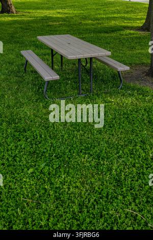 Un tavolo da picnic è posizionato sull'erba verde di un parco. Due panchine si trovano su ciascun lato del tavolo. Si possono vedere alberi sullo sfondo sotto un cielo luminoso Foto Stock