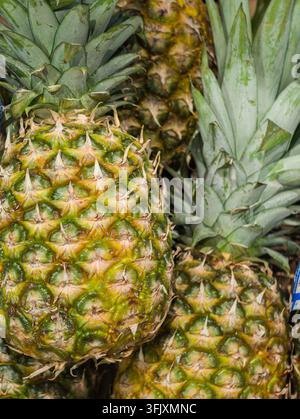 ananas freschi con la loro pelle strutturata a motivi verde-gialli e le punte verdi spinose Foto Stock