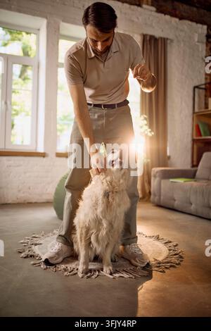 Giovane uomo premuroso che gratta un Golden retriever dietro le orecchie a casa con un legame affettuoso e giocoso Foto Stock