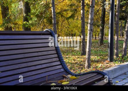 Serenità autunnale sulla panchina del parco in primo piano Foto Stock