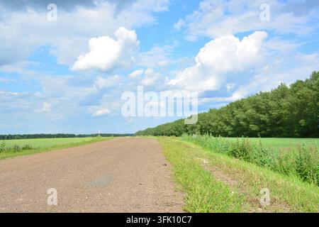 strada sterrata deserta attraverso il paesaggio rurale sotto un cielo nuvoloso in viaggio Foto Stock