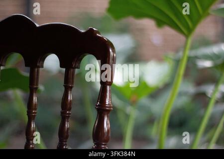 Dettaglio ravvicinato dello schienale di una sedia vintage in legno scuro con sfondo sfocato di foglie tropicali verdi Foto Stock