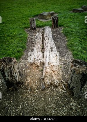 Una vista ad angolo alto di un'area naturale con diversi ceppi d'albero erosi e un grande tronco spaccato sdraiato su un sentiero sterrato, circondato da una vegetazione verde vibrante Foto Stock