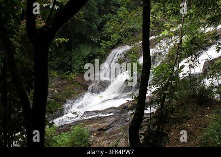 Le cascate Dinner si riversano su sporgenze di roccia vulcanica scura incorniciate da alberi di foresta pluviale tropicale al Monte Hypipamee nel Queensland, Australia Foto Stock