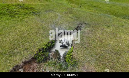 Vista aerea di un bufalo domestico che fa il bagno in una marea fangosa in una fattoria rurale Foto Stock