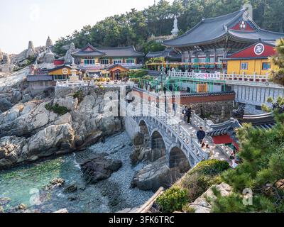 Busan, Corea del Sud - 14 febbraio 2026: Vista del tempio buddista storico di Haedong Yonggungsa, un complesso di templi con architettura tradizionale, ponte di pietra Foto Stock