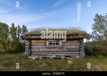 Capanna tradizionale in tronchi con tetto erboso a Dovrefjell, Norvegia Foto Stock