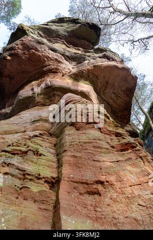Prospettiva estremamente bassa che guarda direttamente verso una parete rocciosa massiccia e erosa in arenaria rossa dell'Altschlossfelsen nella Foresta della Palatinato Foto Stock