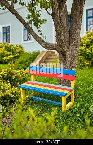 Panchina dipinta di colori vivaci sotto un grande albero in un cortile soleggiato durante un tour in bicicletta a Pavlov, regione vinicola della Moravia meridionale, Repubblica ceca. Foto Stock