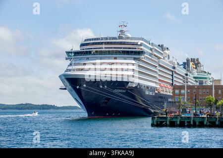 Halifax Nuova Scozia Canada, Passeggiata sul lungomare Harbourwalk, Porto di Halifax, Zuiderdam, Holland America Line, Independence of the Seas, Royal Caribbean In Foto Stock