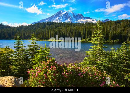 Lago Riflesso Fiori selvatici e Foresta sempreverde con il Monte Rainier in estate Foto Stock