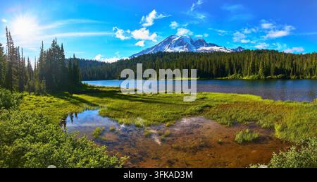 Lago Riflesso Monte Rainier e panorama di foresta lussureggiante sotto il sole splendente dell'estate Foto Stock