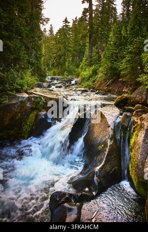 Cascata che scorre su un ruscello roccioso in un paesaggio boschivo lussureggiante Foto Stock
