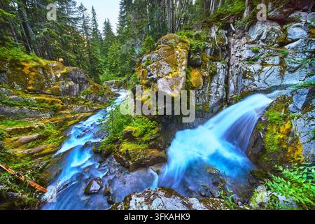 Cascata di Christine Falls, ruscello fluente e rocce coperte di muschio nella foresta sempreverde Foto Stock