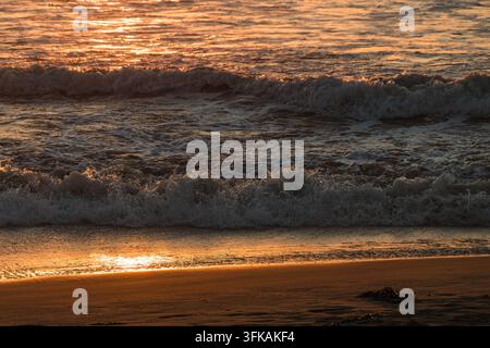 Calda luce dorata del tramonto che si riflette sulle onde schiumose dell'oceano che si infrangono su una spiaggia sabbiosa bagnata. Foto Stock