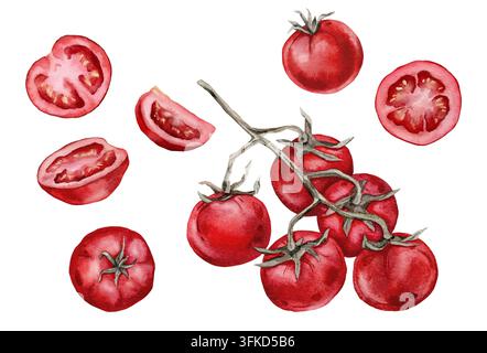 Set di acquerelli dipinti a mano di pomodorini rossi maturi con grappolo sul ramo, frutti interi singoli, pezzi tagliati a metà e a fette, isolati su bianco Foto Stock