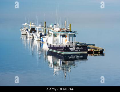 Una serie di piccole barche da pesca è allineata su una superficie d'acqua liscia e riflettente. Il cielo sereno e l'ambiente tranquillo creano una scena pacifica. Foto Stock