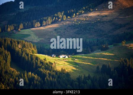 Scena rurale con una piccola fattoria immersa nella luce soffusa del tardo pomeriggio. Incastonata tra campi verdi rigogliosi e foreste fitte, la fattoria si staglia contro il pendio ombreggiato della collina. Foto Stock