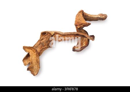 Fette di funghi Porcini essiccati (Boletus Edulis) isolate su sfondo bianco. Close-up di studio di ingredienti per una cucina gourmet salutare. Foto Stock