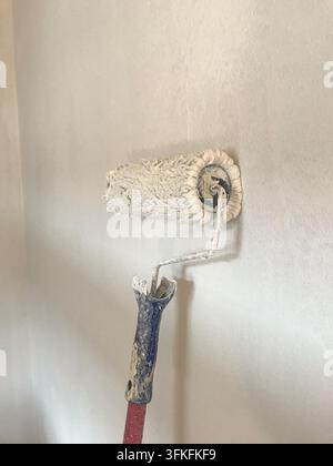 Primo piano di un rullo per vernici con vernice bianca Foto Stock