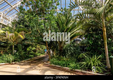 La Casa Temperata, una grande serra vittoriana ai Giardini di Kew, ospita oltre 10.000 piante singole provenienti da regioni temperate di tutto il mondo, Kew Foto Stock