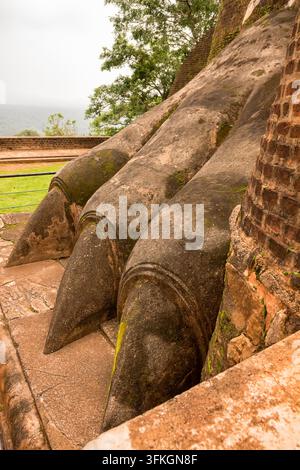 Antiche zampe e artigli di leone in pietra, fortezza rocciosa di Sigiriya, Sri Lanka Foto Stock
