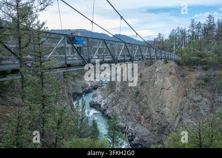 Un ponte sospeso in metallo che attraversa un canyon e il fiume Yellowstone nel Parco Nazionale di Yellowstone sul sentiero di Hellroaring Creek. Foto Stock