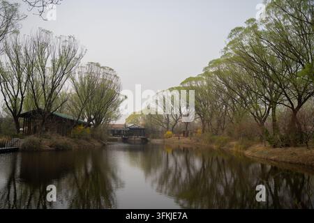 Salici che costeggiano entrambe le rive riflesse sulla superficie di un lago in un parco in una giornata nuvolosa Foto Stock