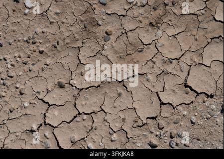 Fessure e texture nella terra secca Foto Stock
