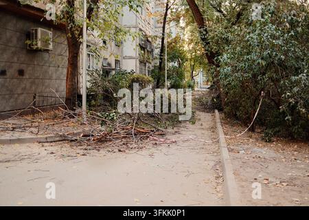 Rami caduti e tagliati sparsi su un sentiero del giardino residenziale, creando una scena di pulizia naturale legata alla potatura degli alberi e alla manutenzione del cortile Foto Stock
