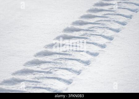 Tracce di auto nella neve fresca Foto Stock