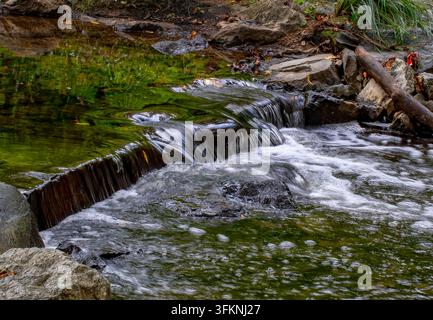 Un piccolo ruscello o torrente poco profondo che scorre su una serie di piccoli gradini di pietra o piccoli ripiani rocciosi, circondato da vegetazione verde e rocce Foto Stock