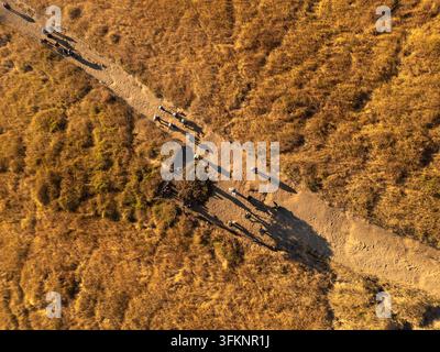 Vista aerea di escursionisti che camminano lungo un sentiero sterrato sui pendii erbosi del Gunung Sumbing Wonosobo con lunghe ombre proiettate dalla luce dell'ora dorata a Kecama Foto Stock