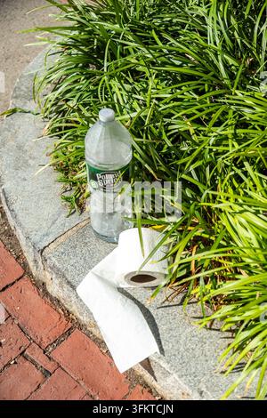 Scena all'aperto illuminata dal sole con bottiglia d'acqua in plastica traslucida incastonata tra graminacee ornamentali verdi e dense, con Boston, pianta, vegetazione, foglie deta Foto Stock