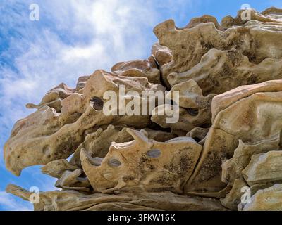 Forme di animali suggerite dalle formazioni di arenaria nel Fantasy Canyon nello Utah, USA Foto Stock