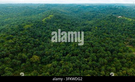 Vista aerea di una fitta foresta tropicale e piantagioni di palme che coprono colline ondulate sotto un cielo nuvoloso a Itu, Akwa Ibom, Nigeria. Foto Stock
