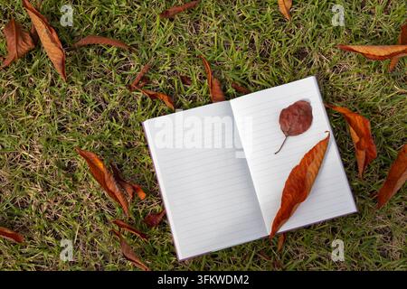 Quaderno aperto e vuoto con foglie secche d'autunno sull'erba Foto Stock