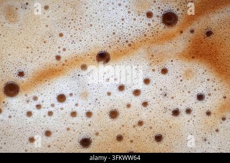 Vista macro della schiumosa crema di espresso e della schiuma di caffè con bolle cremose e vortici marroni, che trasmettono calore, freschezza e una ricca texture ideale per i caffè Foto Stock