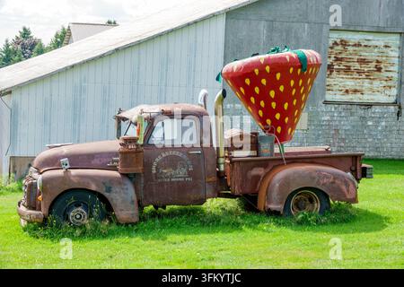 Charlottetown Isola del Principe Edoardo PEI Canada, Argyle Shore, Shoreberry Farms, pick-up GMC, veicolo vintage, camion antico, automobile arrugginita, abbandonato Foto Stock